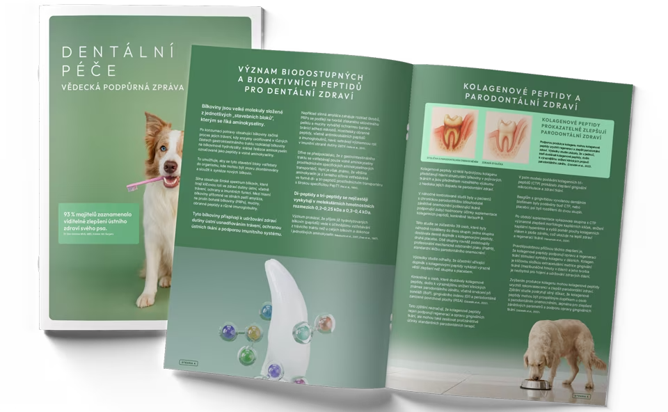 Dental-Care-Scientific-Support-Paper